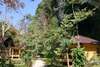 Tonsai Bay Resort 
